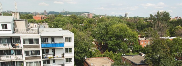 Vue du toit de l'avenue Fielding